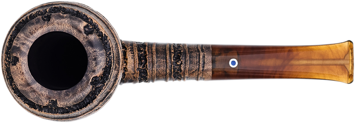 Ardor Alveare Acorn (2026)
