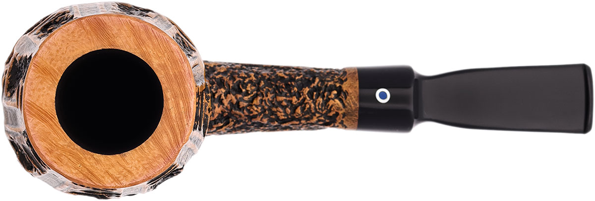 Ardor Meteora Bent Egg (2026)