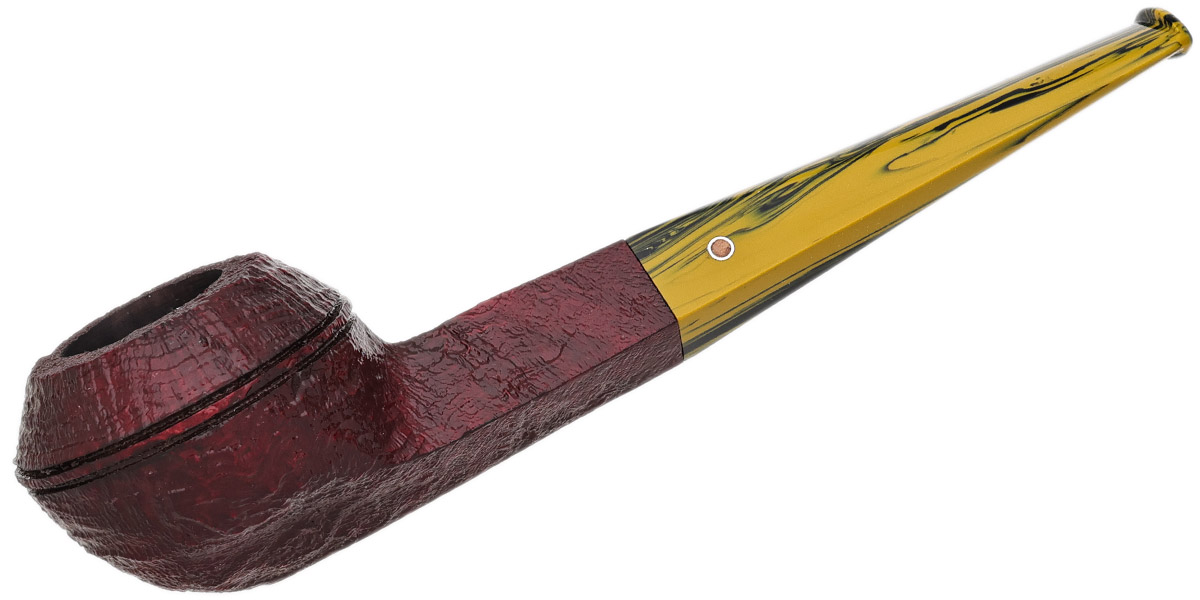 Ashton Brindle Bulldog (XX) (2025)