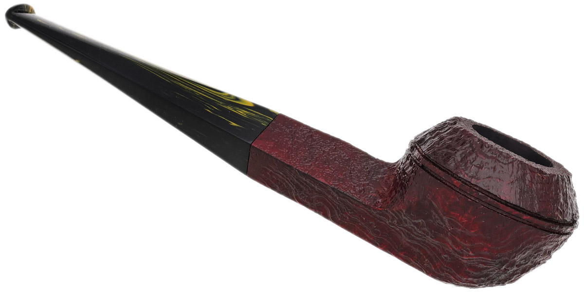 Ashton Brindle Bulldog (XX) (2025)