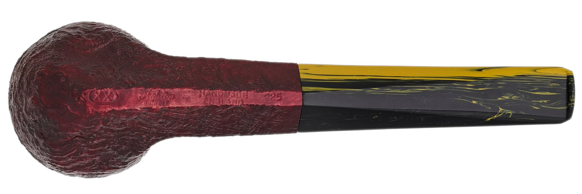 Ashton Brindle Bulldog (XX) (2025)