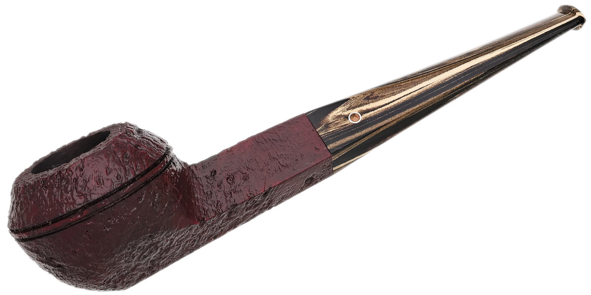 Ashton Brindle Bulldog (XX) (2025)