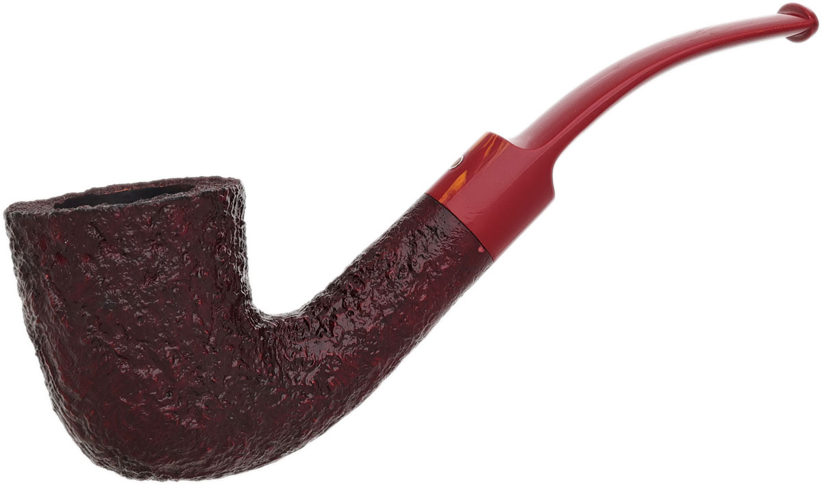 Ashton Brindle Bent Dublin (XX) (2026)