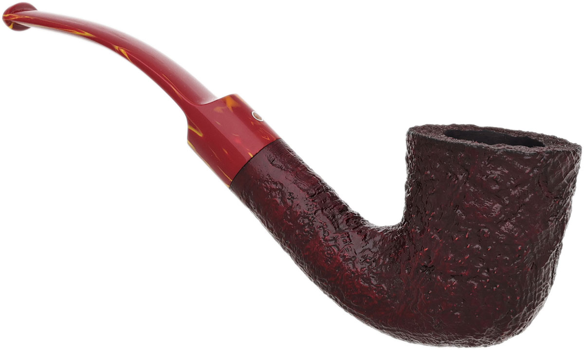 Ashton Brindle Bent Dublin (XX) (2026)