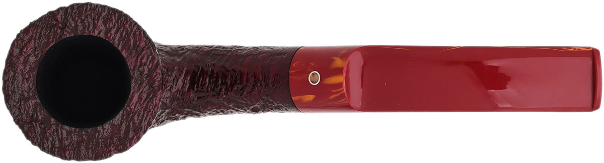 Ashton Brindle Bent Dublin (XX) (2026)