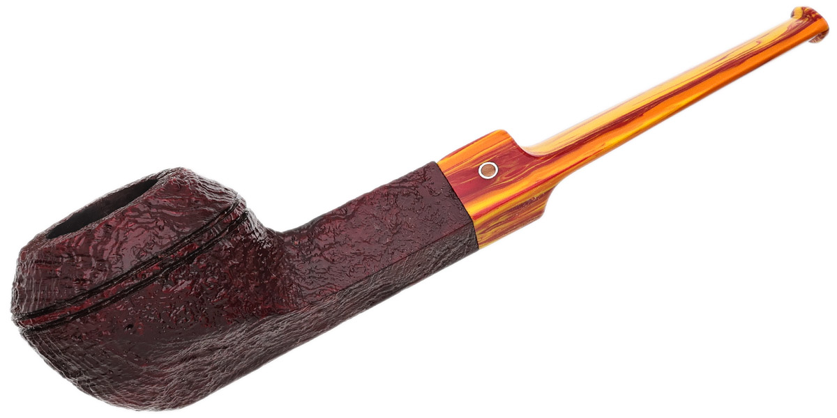 Ashton Brindle Bulldog (XX) (2025)