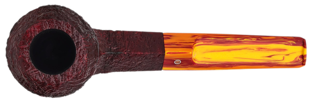 Ashton Brindle Bulldog (XX) (2025)