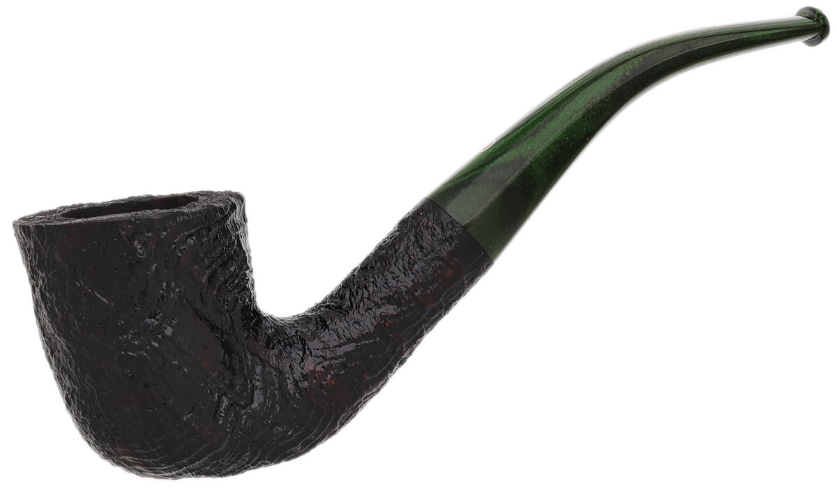 Ashton Brindle Bent Dublin (XX) (2026)