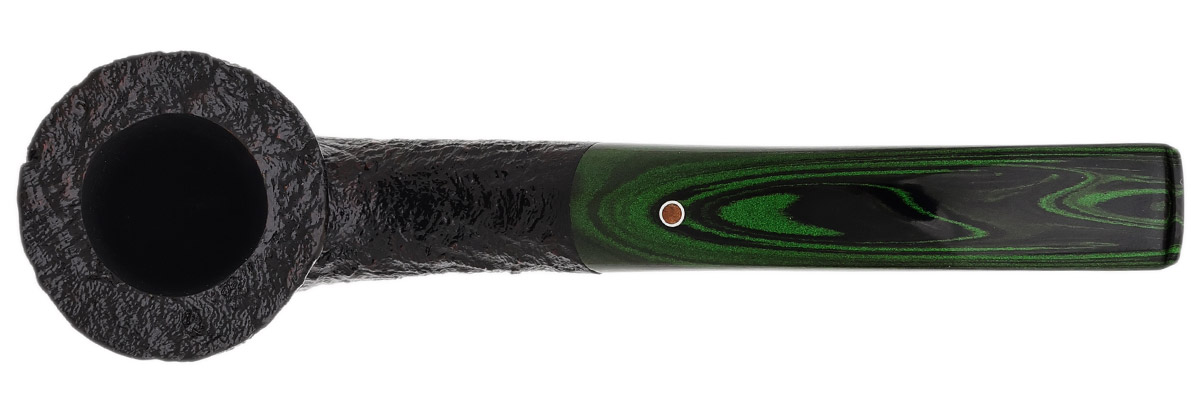 Ashton Brindle Bent Dublin (XX) (2026)