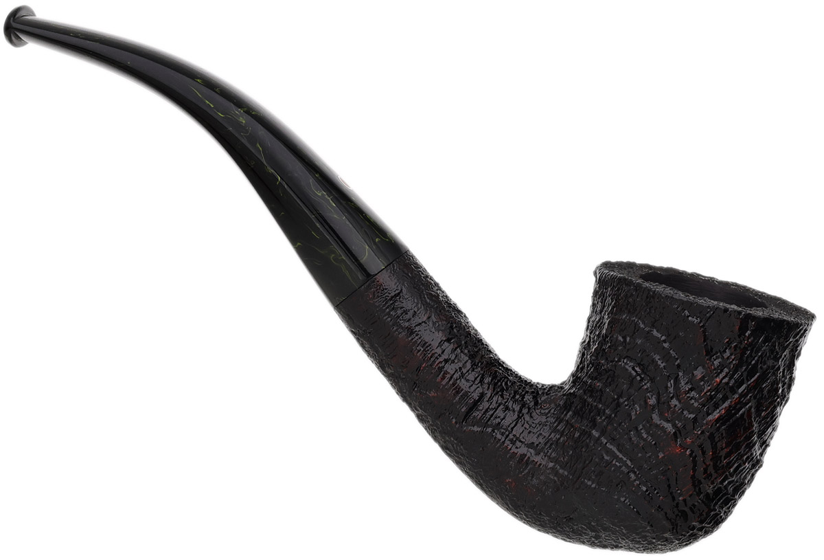 Ashton Brindle Bent Dublin (XX) (2026)