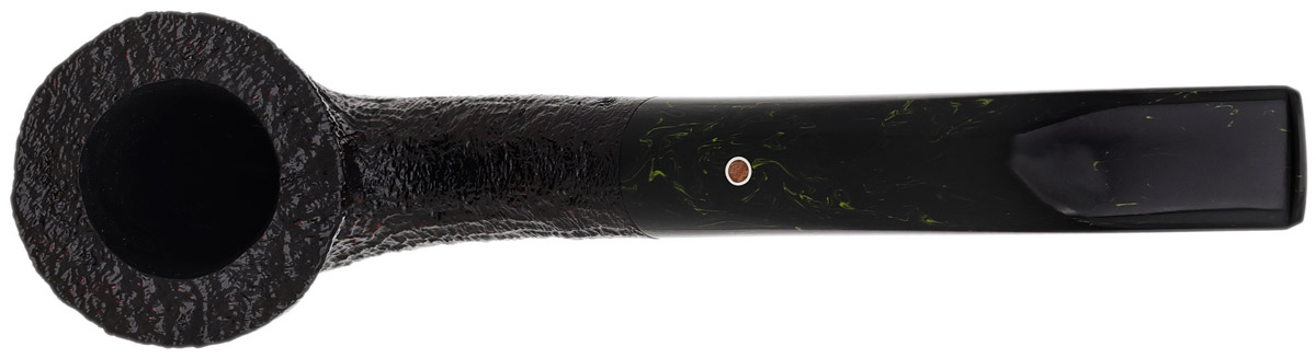 Ashton Brindle Bent Dublin (XX) (2026)