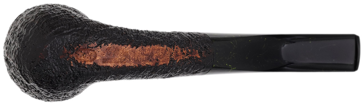 Ashton Brindle Bent Dublin (XX) (2026)