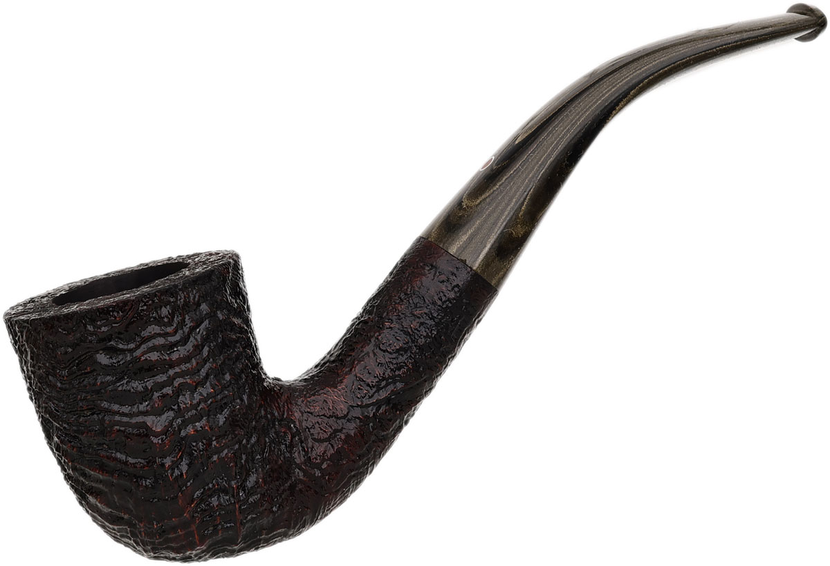 Ashton Brindle Bent Dublin (XX) (2026)