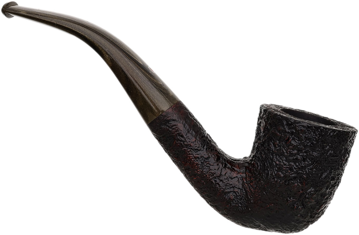Ashton Brindle Bent Dublin (XX) (2026)