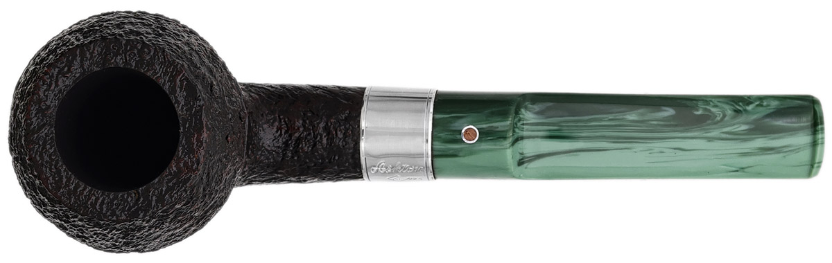 Ashton Brindle Rhodesian with Silver (XXX) (2026)