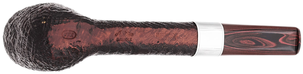 Ashton Brindle Canadian with Silver (XXX) (2026)