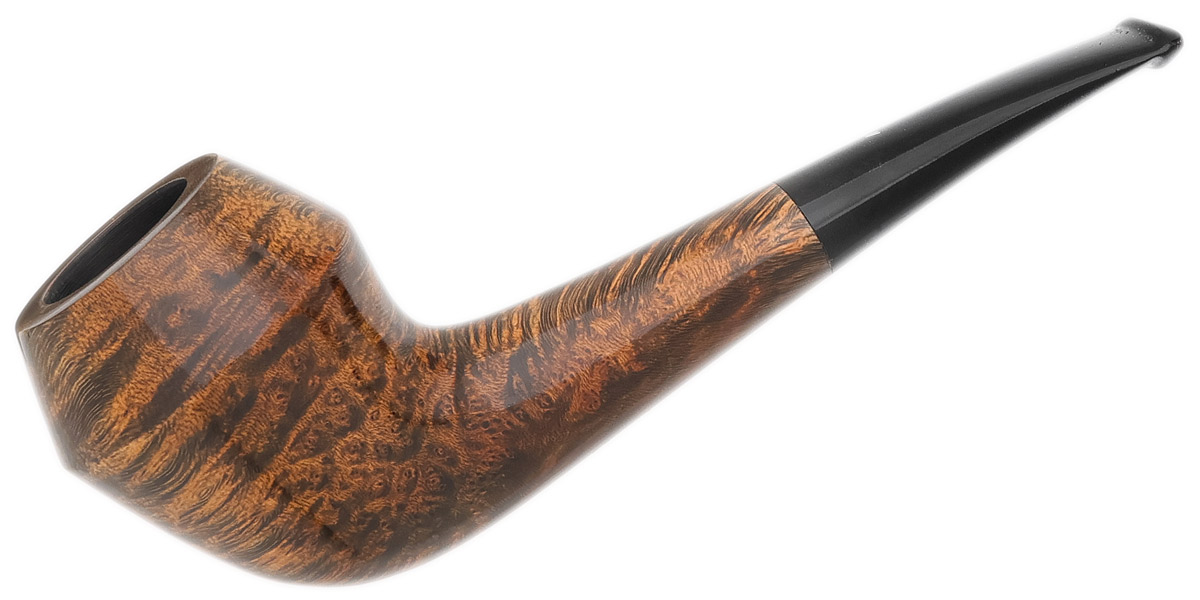 Musico Smooth Rhodesian (Club)