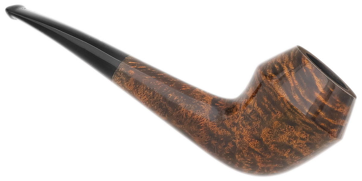 Musico Smooth Rhodesian (Club)