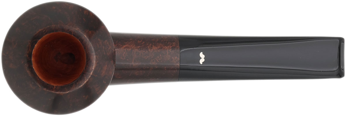 Caminetto Smooth Rhodesian (03) (AT)