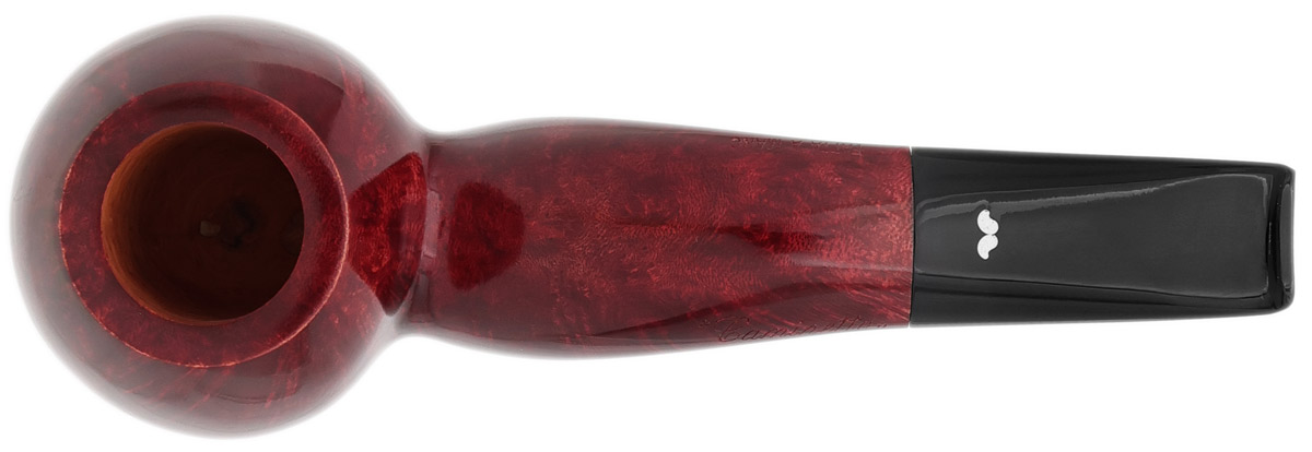 Caminetto Smooth Hawkbill (05) (AT)