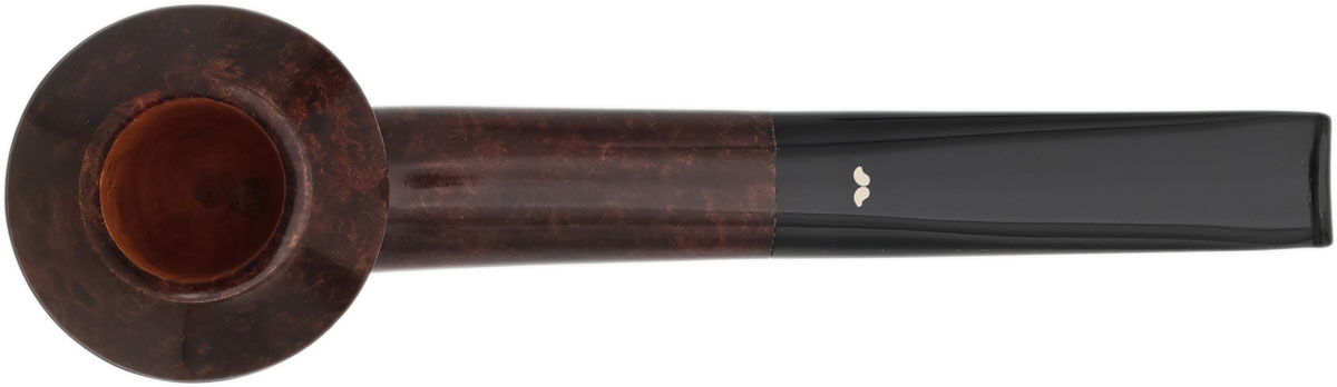 Caminetto Smooth Rhodesian (03) (AT)