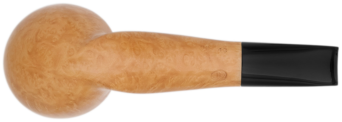 Caminetto Smooth Rhodesian (02) (AT)