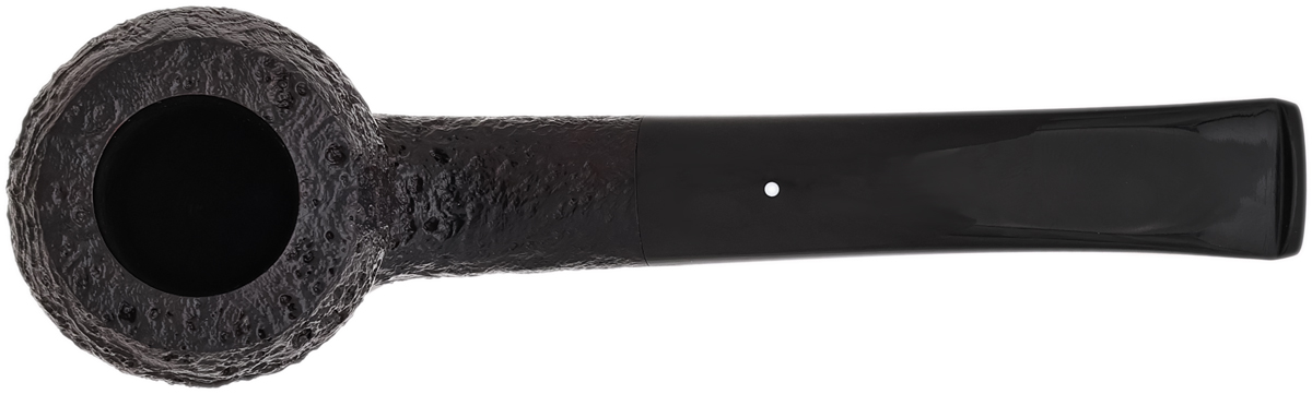 Dunhill Shell Briar Quaint Acorn (4) (2025)