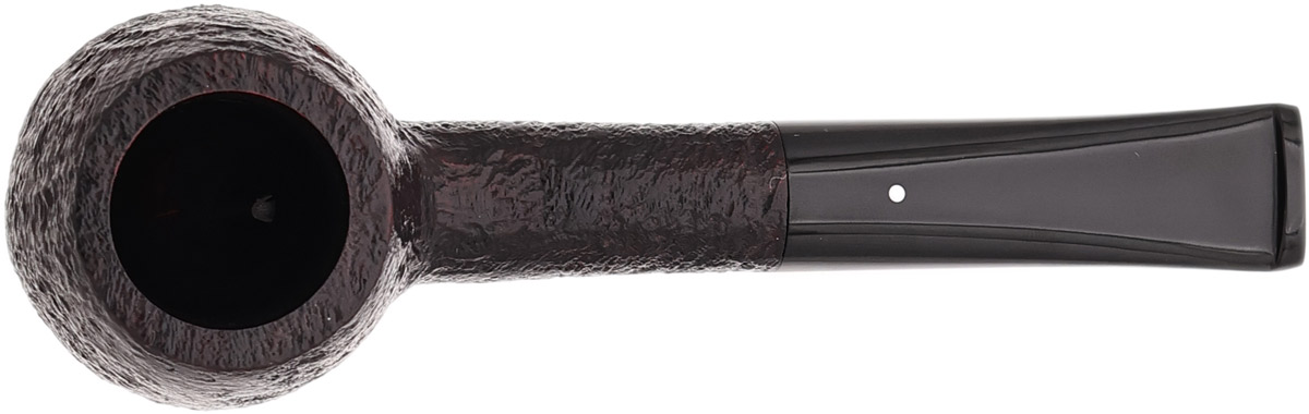 Dunhill Shell Briar (3101) (2026)