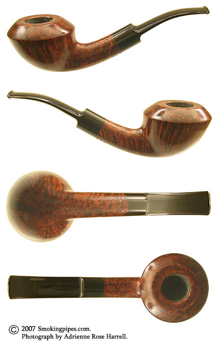 Former Smooth Freehand Rhodesian