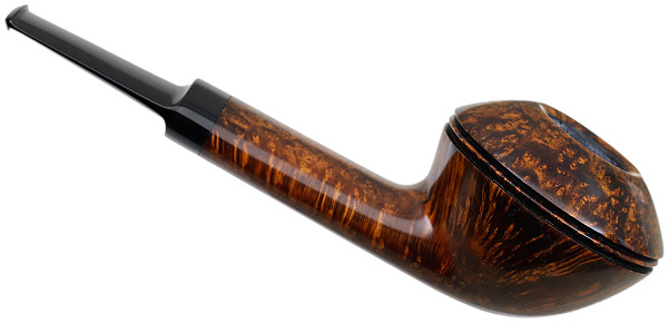 Former Smooth Rhodesian
