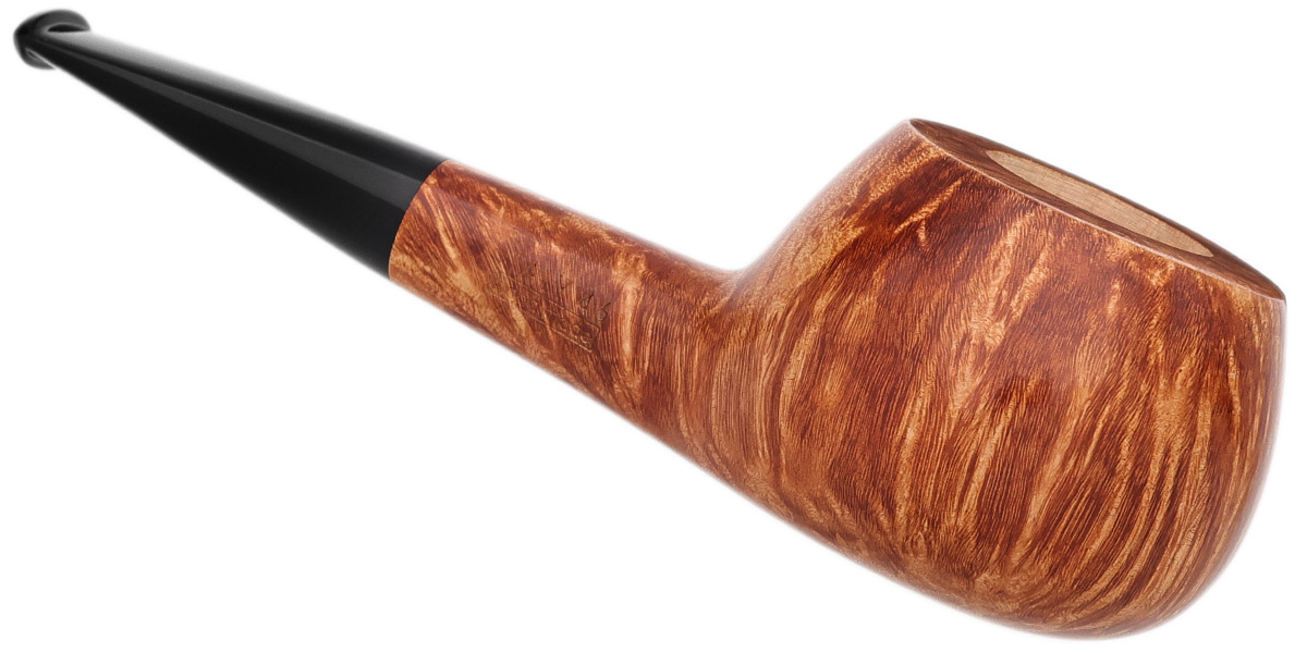 Radice Clear Tomato (2026)