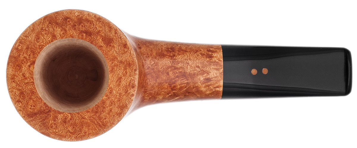 Radice Clear Pot (2026)