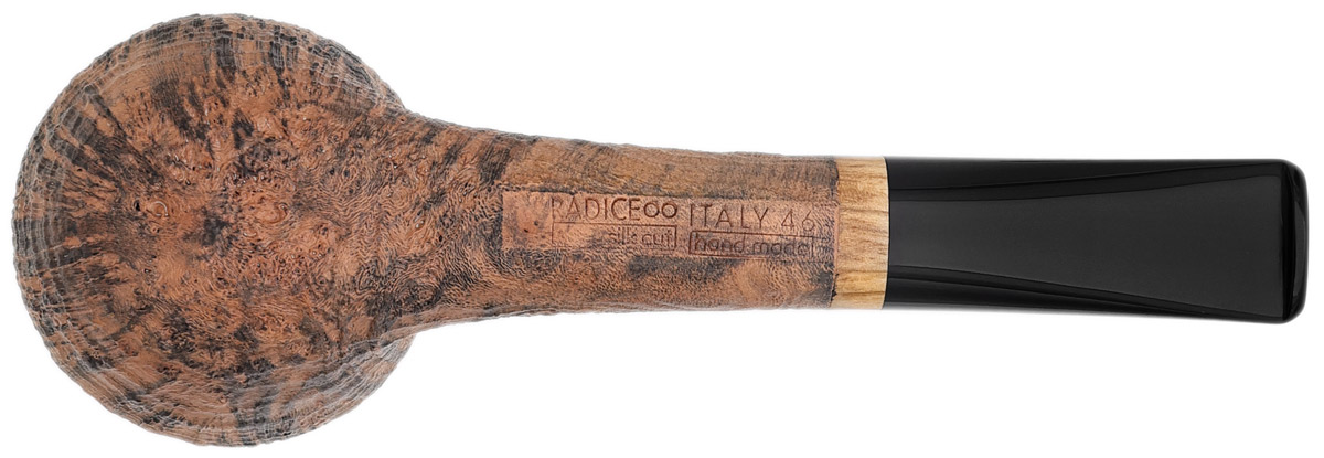 Radice Silk Cut Rhodesian (2026)