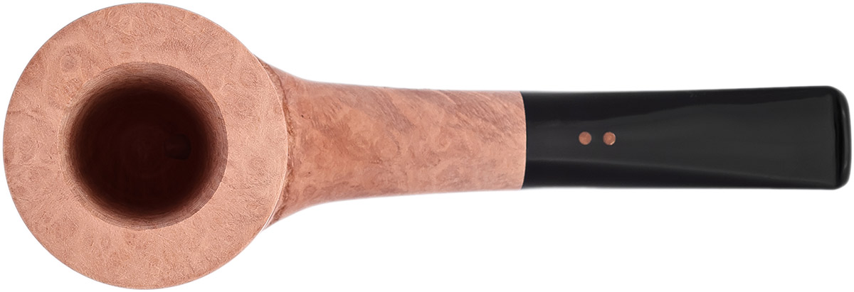 Radice Underwood Pure Billiard (2026)