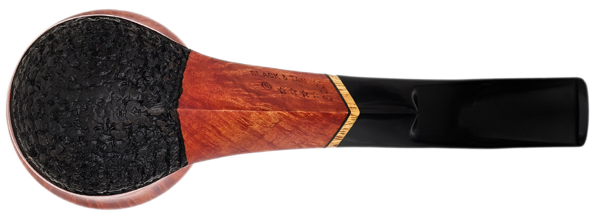 Mark Tinsky Black and Tan Bent Dublin (B) (Four Star) (2026)