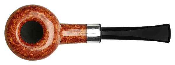 Winslow Smooth Rhodesian with Silver (D)