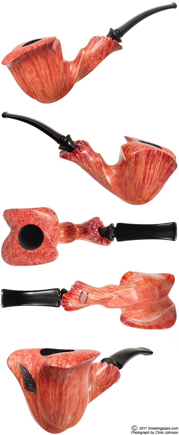 Randy Wiley Feather Carved Smooth Freehand (99)