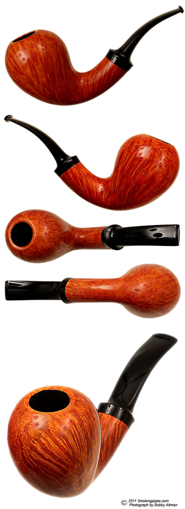 Tsuge Ikebana Smooth Bent Acorn (F)
