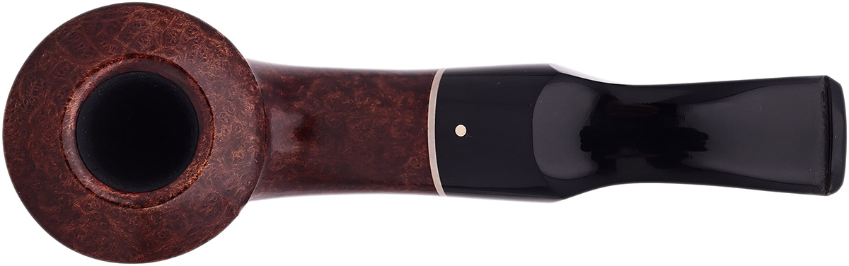 Kai Nielsen Smooth Rhodesian (Jewel of Denmark) (A)
