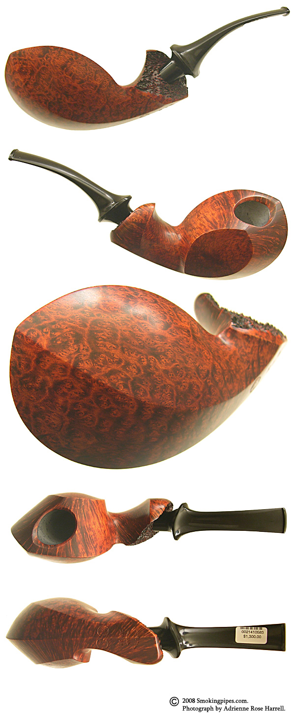 Tokutomi Smooth Elongated Blowfish (Two Snail)