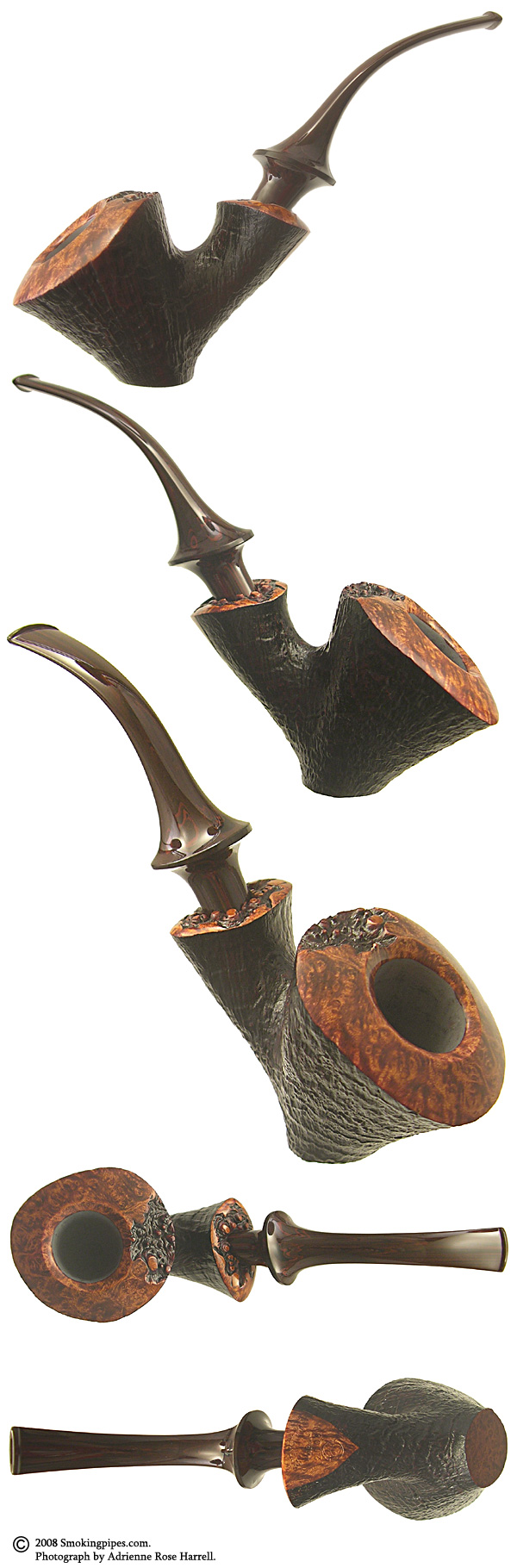 Tokutomi Sandblasted Dublin Sitter (Snail)
