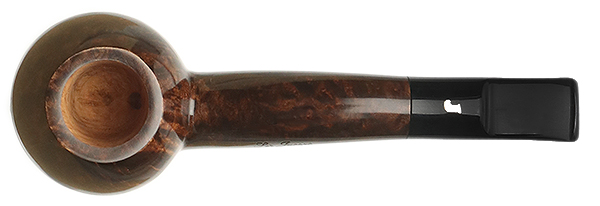Ser Jacopo Smooth Hawkbill (L1)
