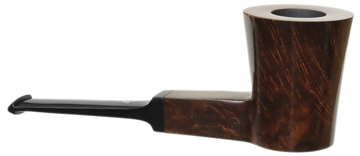 Ser Jacopo Smooth Dublin Sitter (L1)