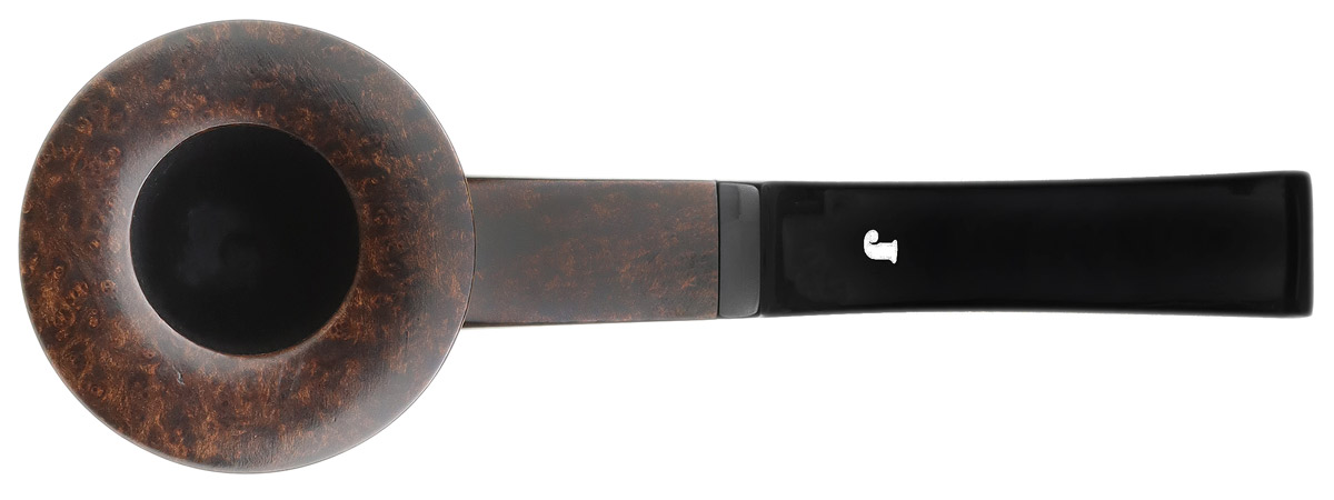 Ser Jacopo Smooth Dublin Sitter (L1)