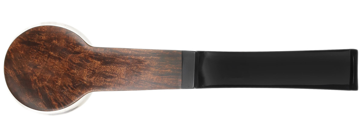 Ser Jacopo Smooth Dublin Sitter (L1)