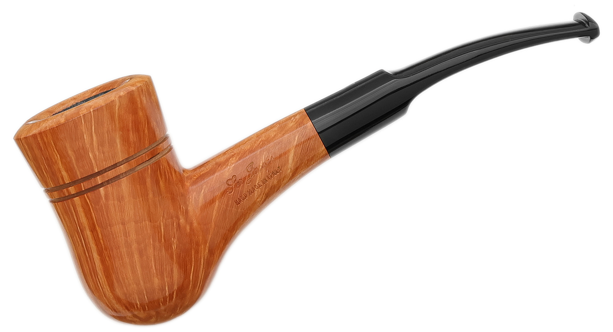 Ser Jacopo Smooth Hawkbill (L2)