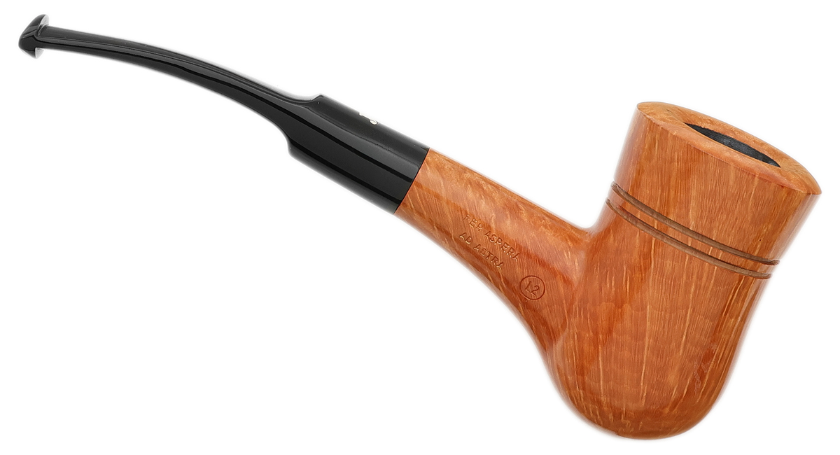 Ser Jacopo Smooth Hawkbill (L2)
