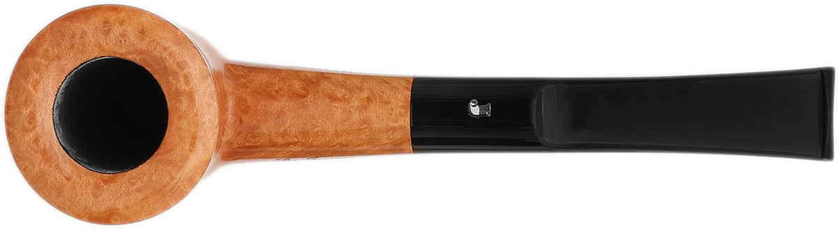 Ser Jacopo Smooth Hawkbill (L2)