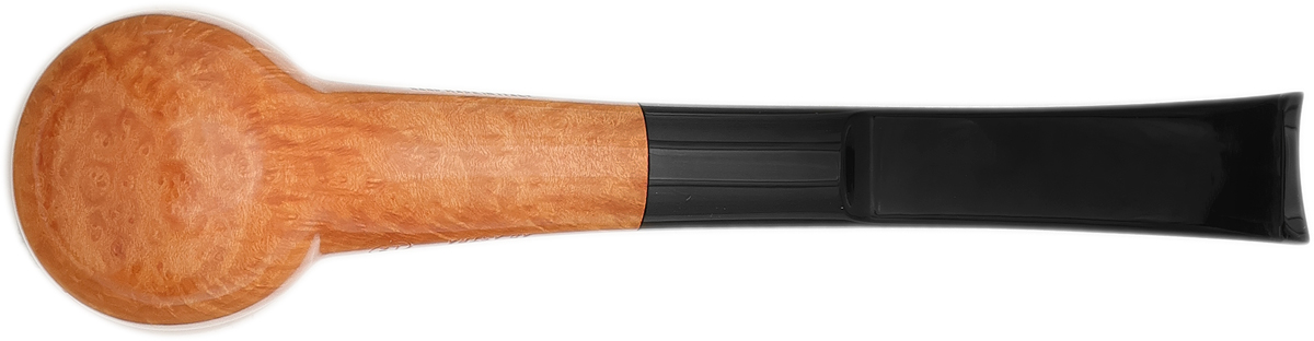 Ser Jacopo Smooth Hawkbill (L2)