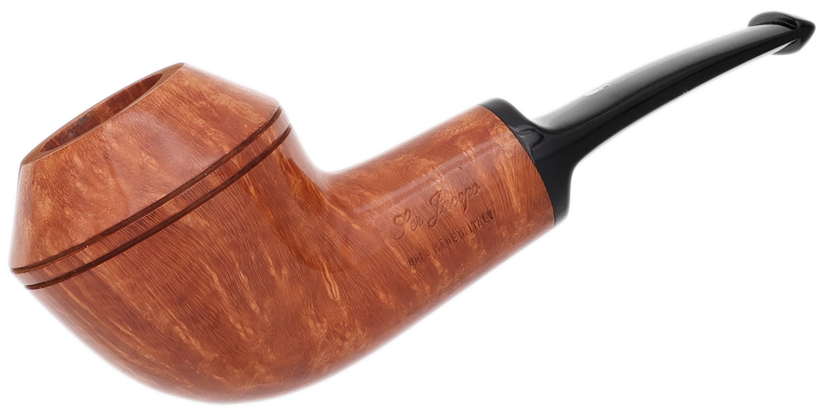 Ser Jacopo Smooth Rhodesian (L2)